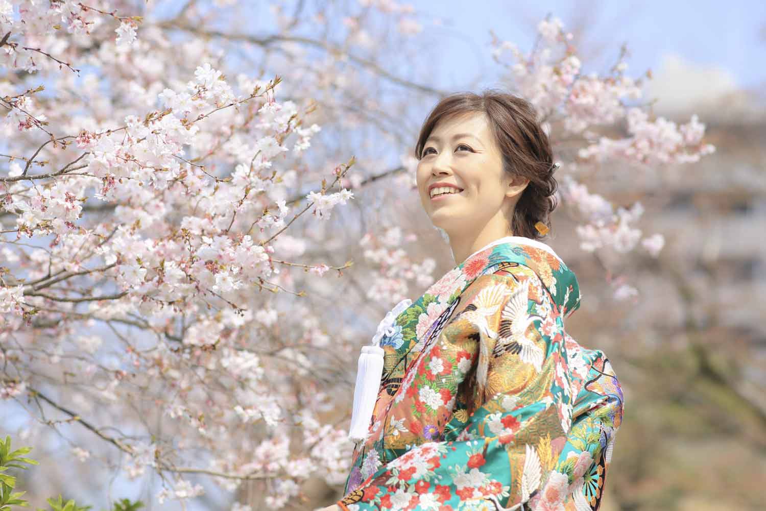 お寺の境内での桜との和装前撮り写真