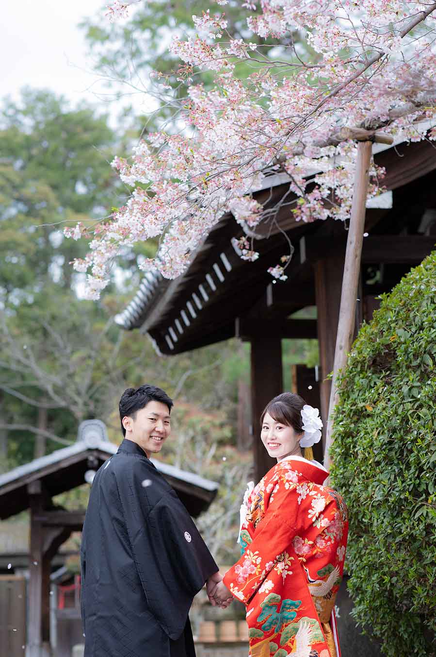 桜吹雪を背景にした結婚写真