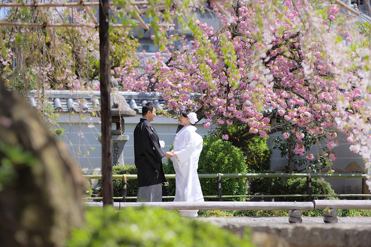 八重桜を背景に手を取り合う和装姿の新郎新婦様