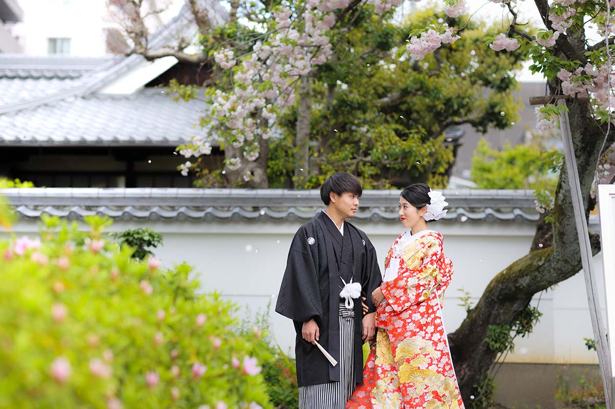 桜吹雪の中、京都で和装前撮り