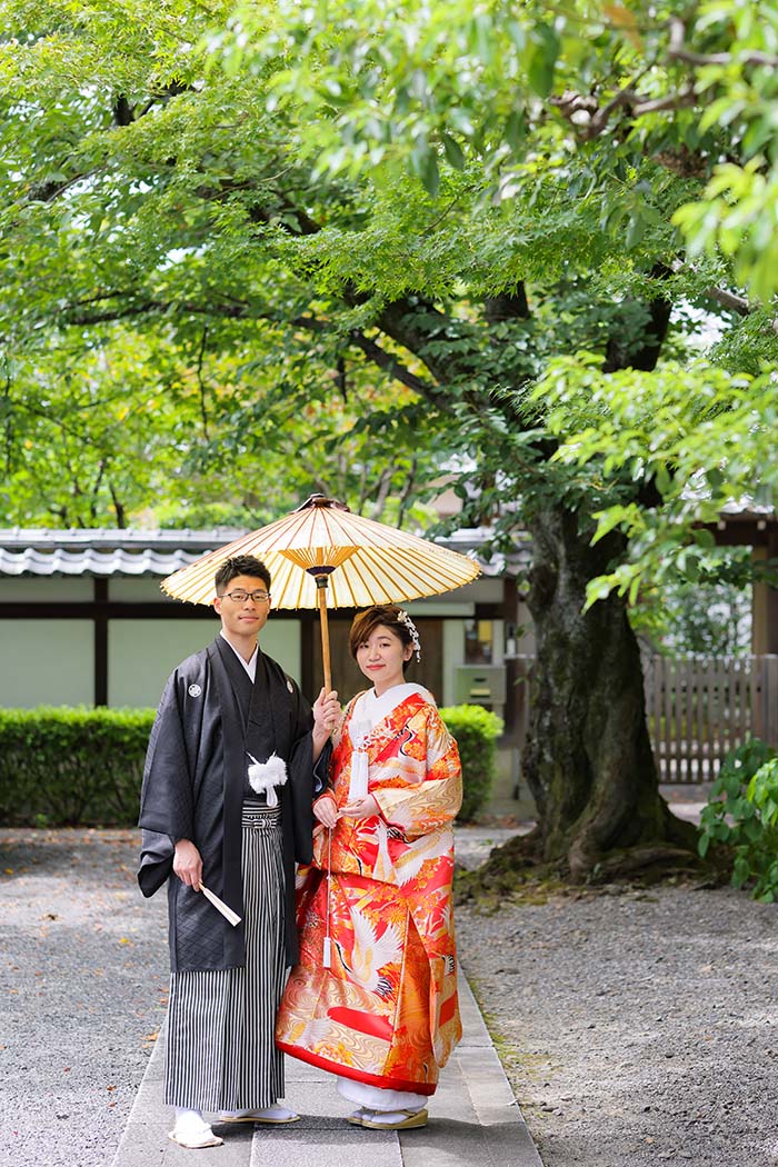 京都妙蓮寺境内で番傘を使って撮影