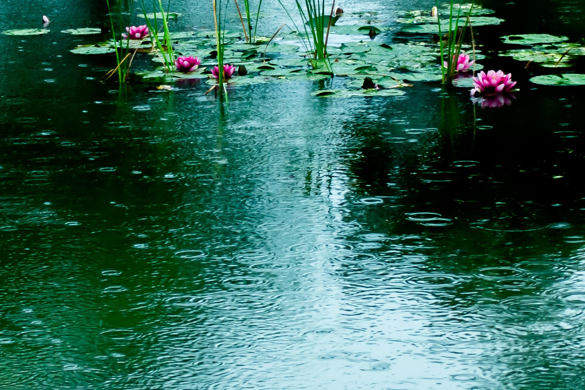 雨の前撮りよくある質問