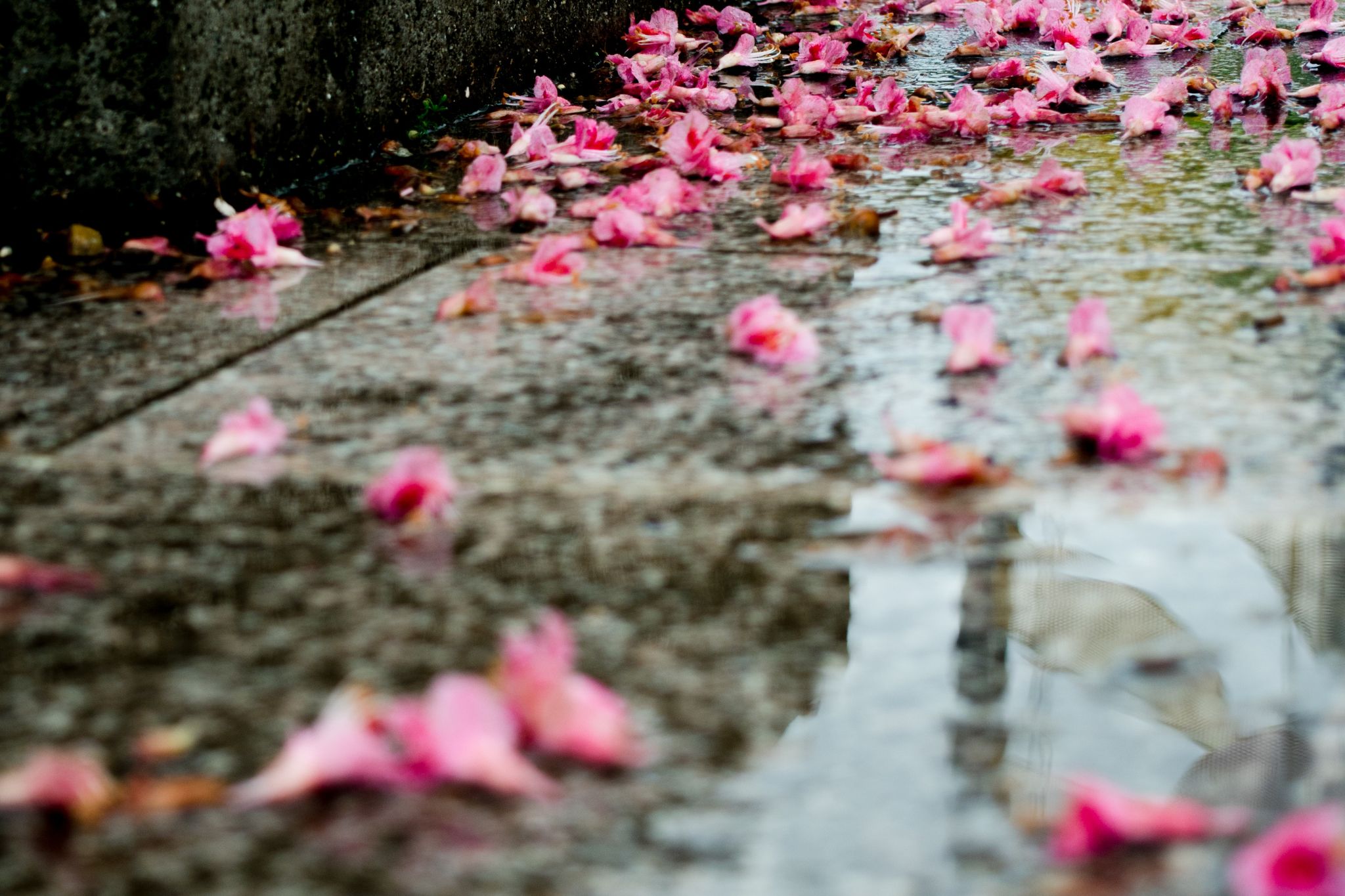 雨の前撮りよくある質問