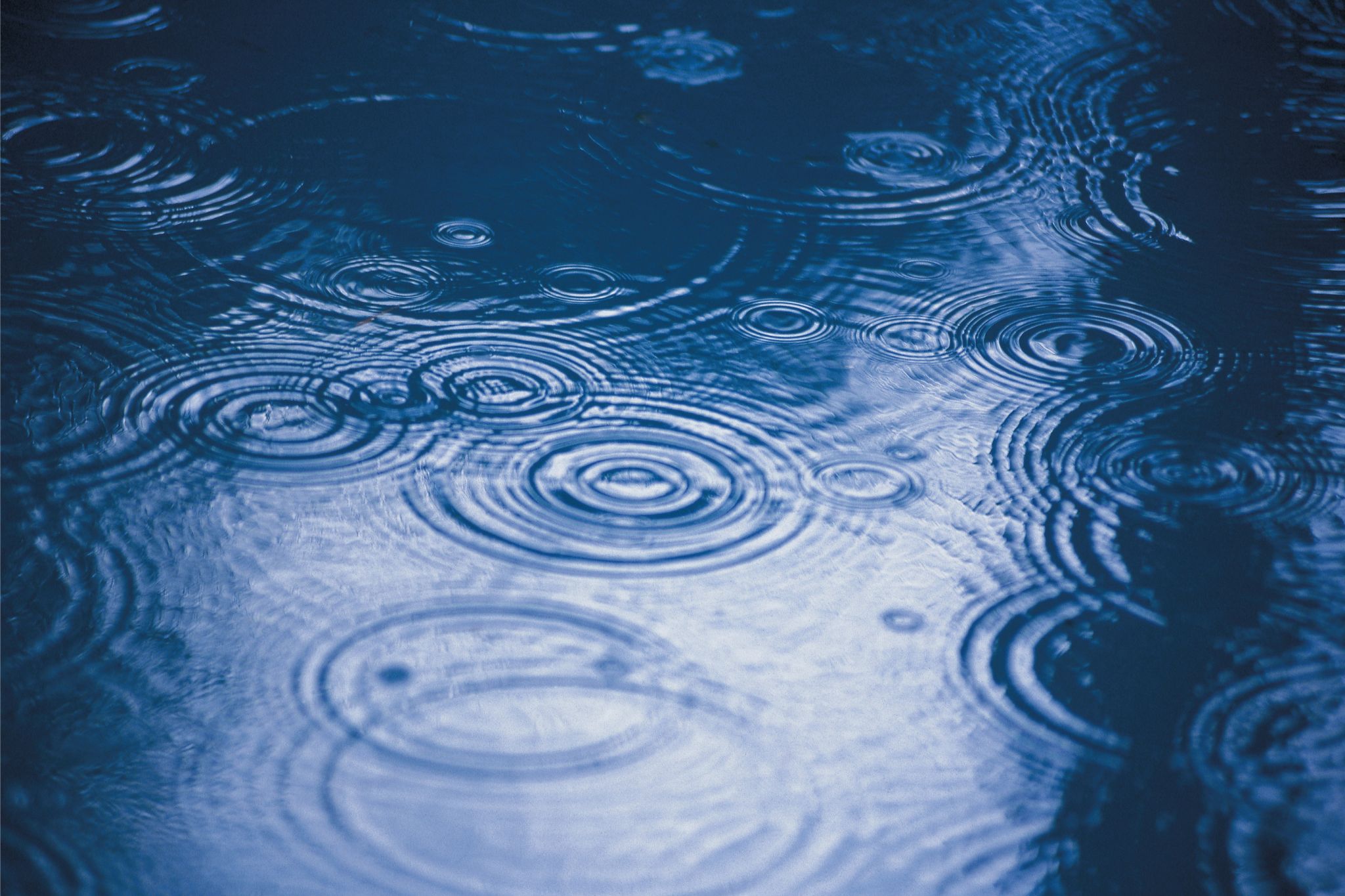 雨の前撮りの注意点