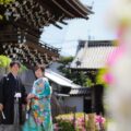 境内にて(季節:春) 境内にて。藤とツツジを背景に結婚記念写真