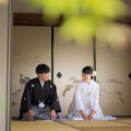 和室にて(季節:春) お寺の和室で見つめ合う正座姿の和装姿の新郎新婦様。