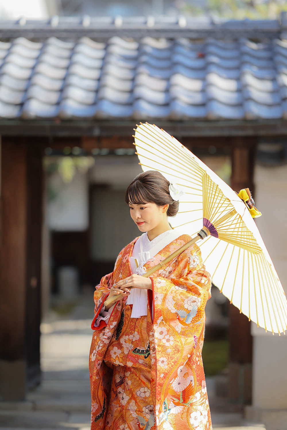 色打掛11.ピンクー孔雀