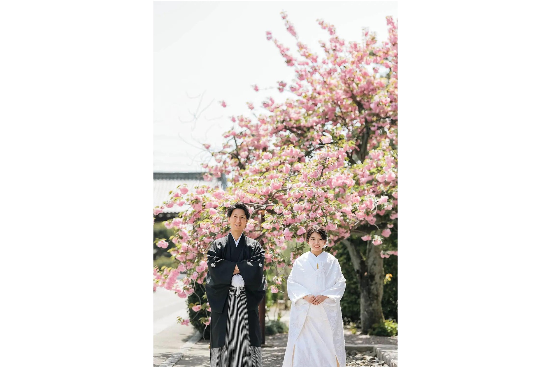 八重桜の前撮りお写真イメージ