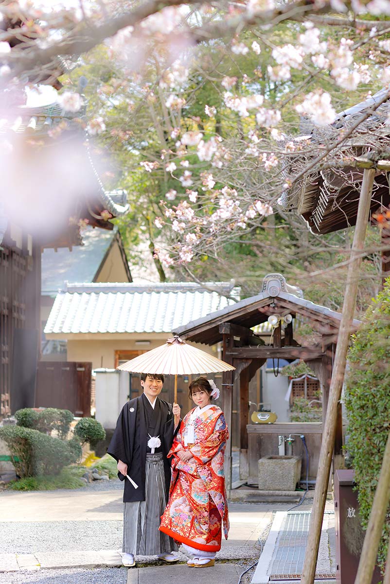 京都戒光寺の桜と和装前撮り