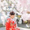 境内にて(季節:春) 枝垂れ桜の下の赤い打掛の花嫁様