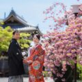 境内にて(季節:春) 八重桜と鐘楼を背景にした振り返りのお写真