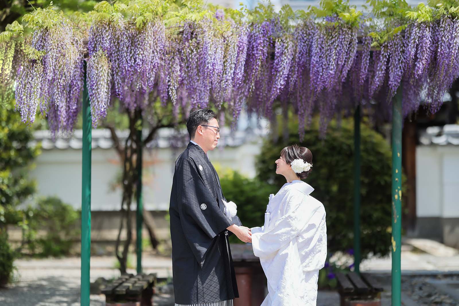 京都で藤の花と和装前撮り