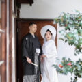 椿と白無垢綿帽子での和装前撮りカット