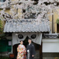 妙蓮寺塔頭寺院門前にて。桜とのお写真を落ち着いたトーンで撮影。 妙蓮寺塔頭寺院前での桜のカット