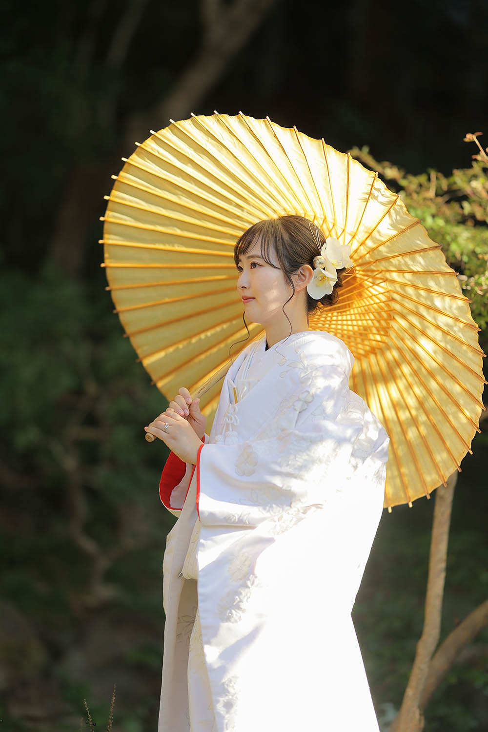 京都のお寺でゆったり前撮りブログ画像