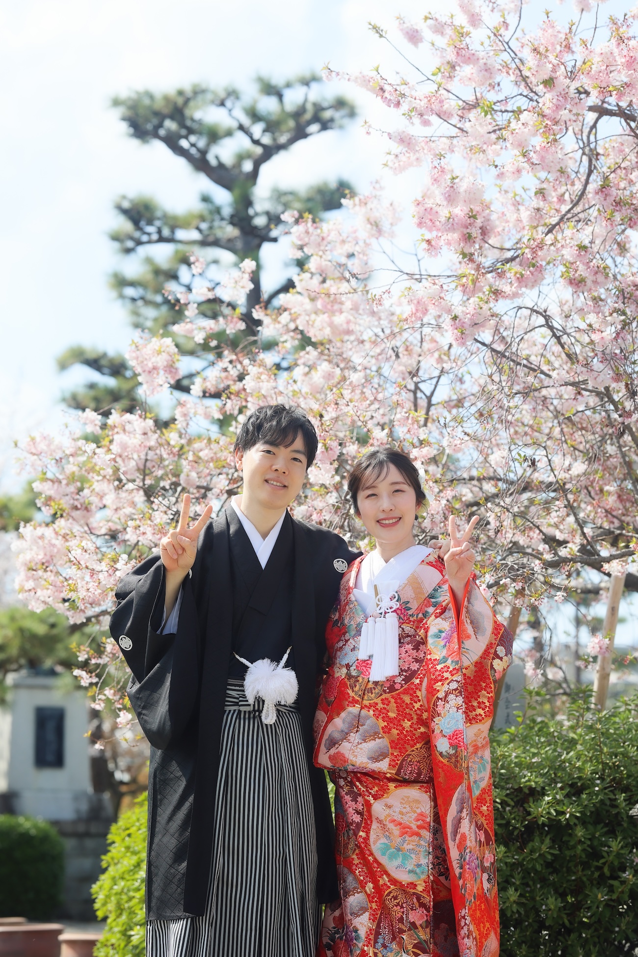 京都の満開の桜と和装前撮りブログ画像2