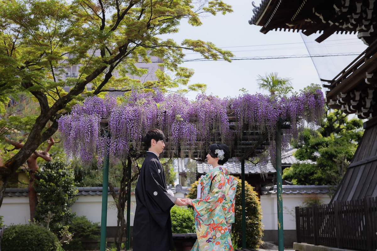 藤の花と京都で和装フォトウェディングブログ画像