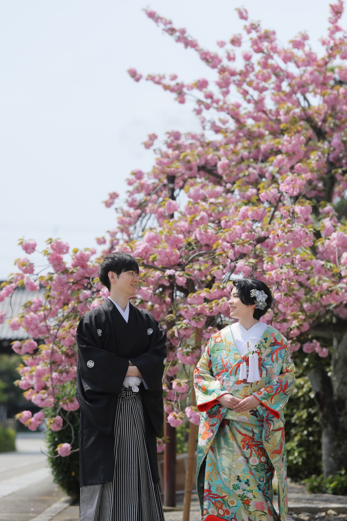 八重桜を背景に見つめ合う和装姿の新郎新婦様。