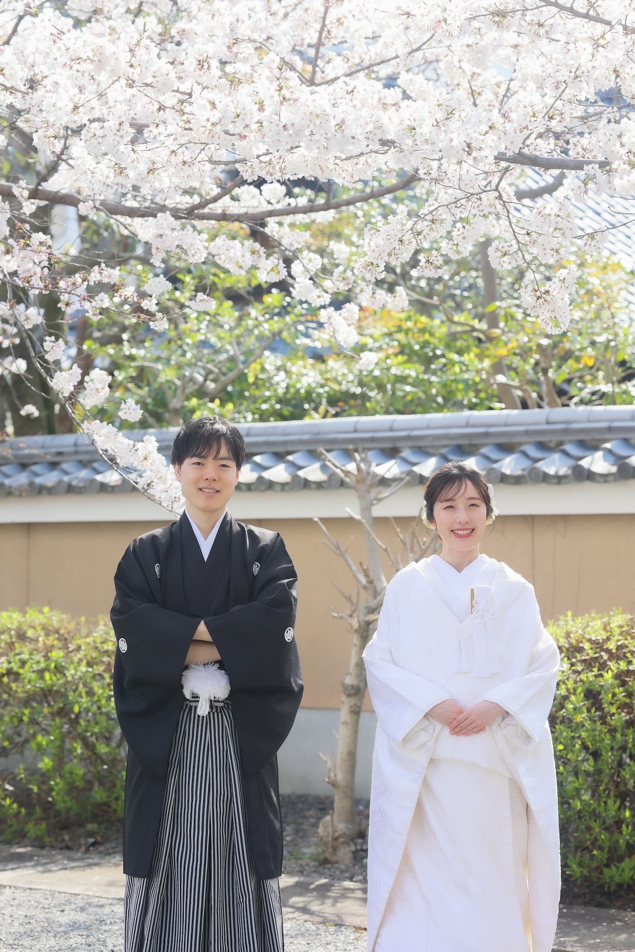 京都の桜と白無垢で和装前撮り