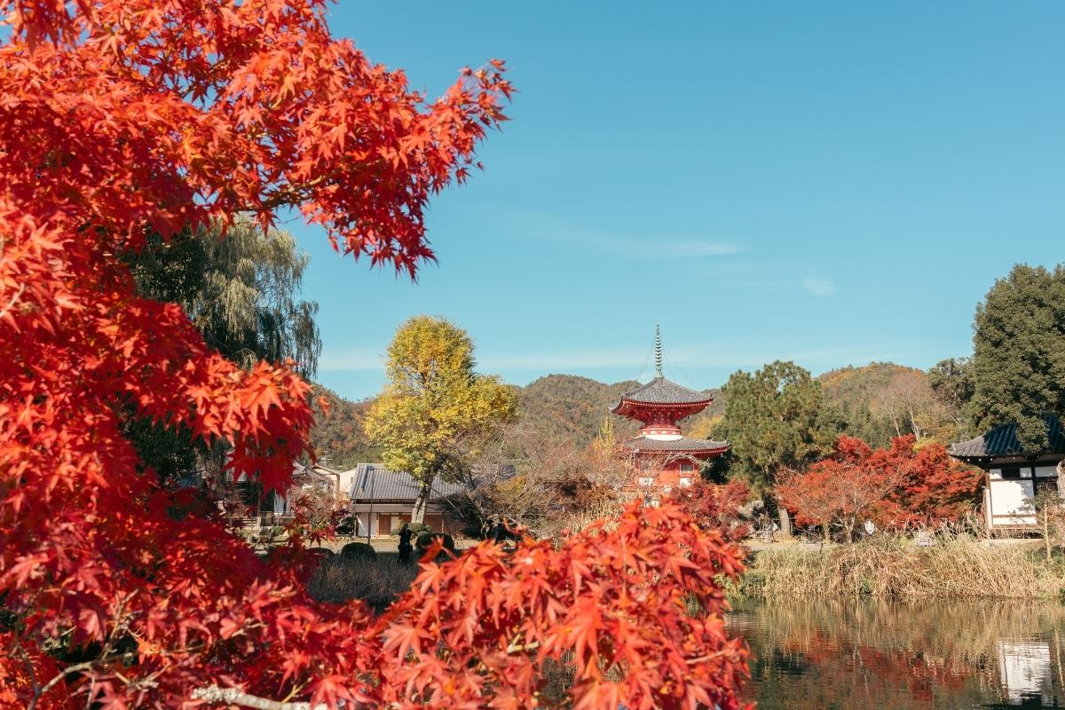 大覚寺