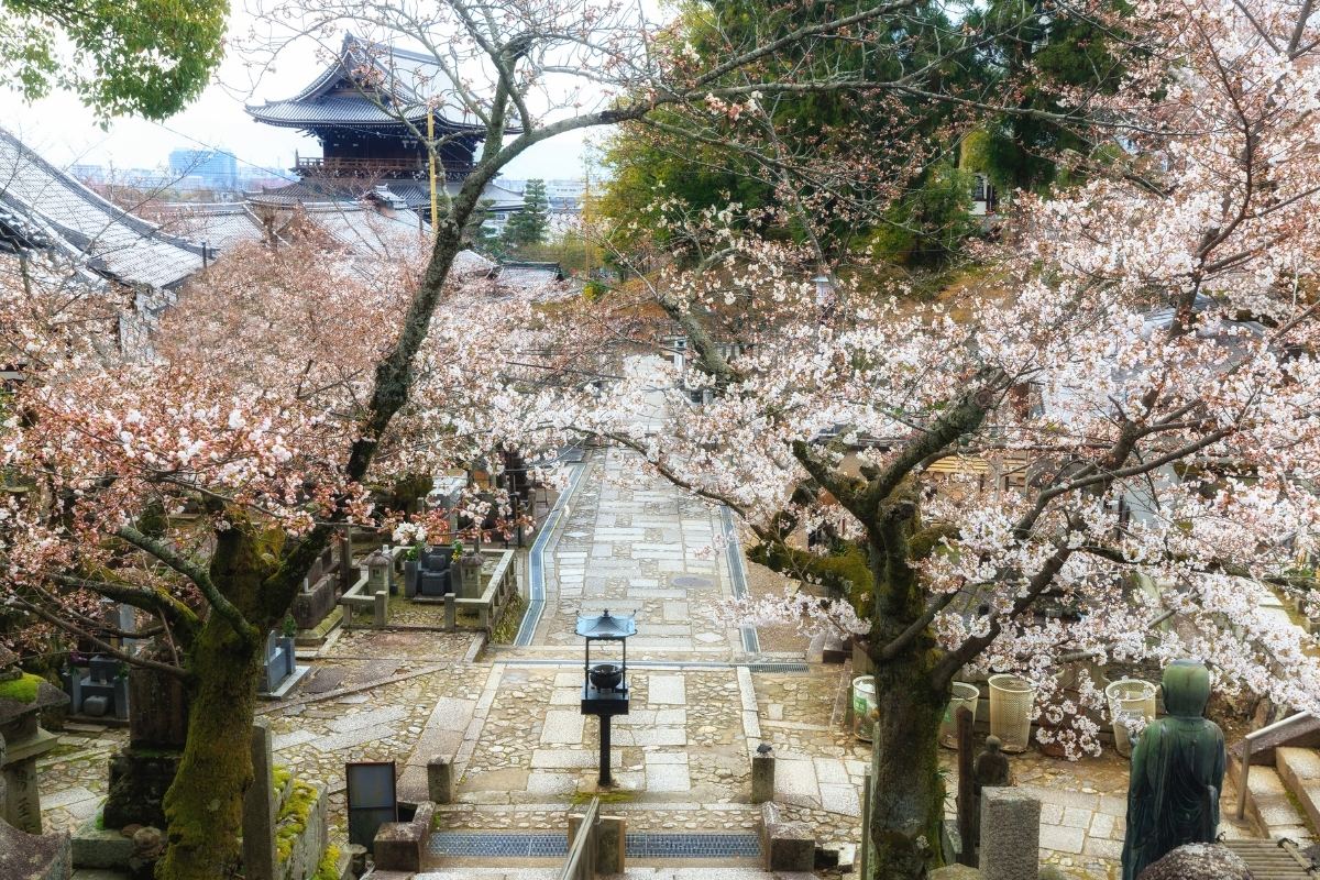 金戒光明寺