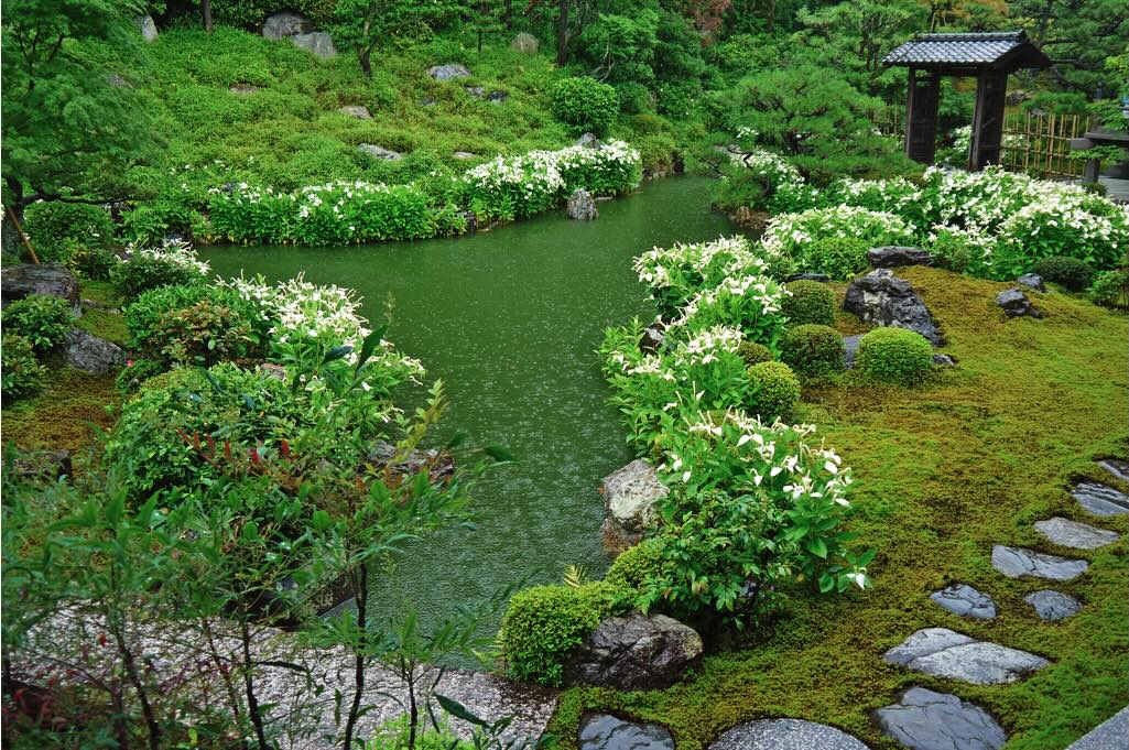 両足院