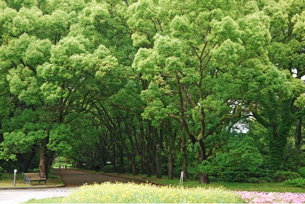 京都府立植物園