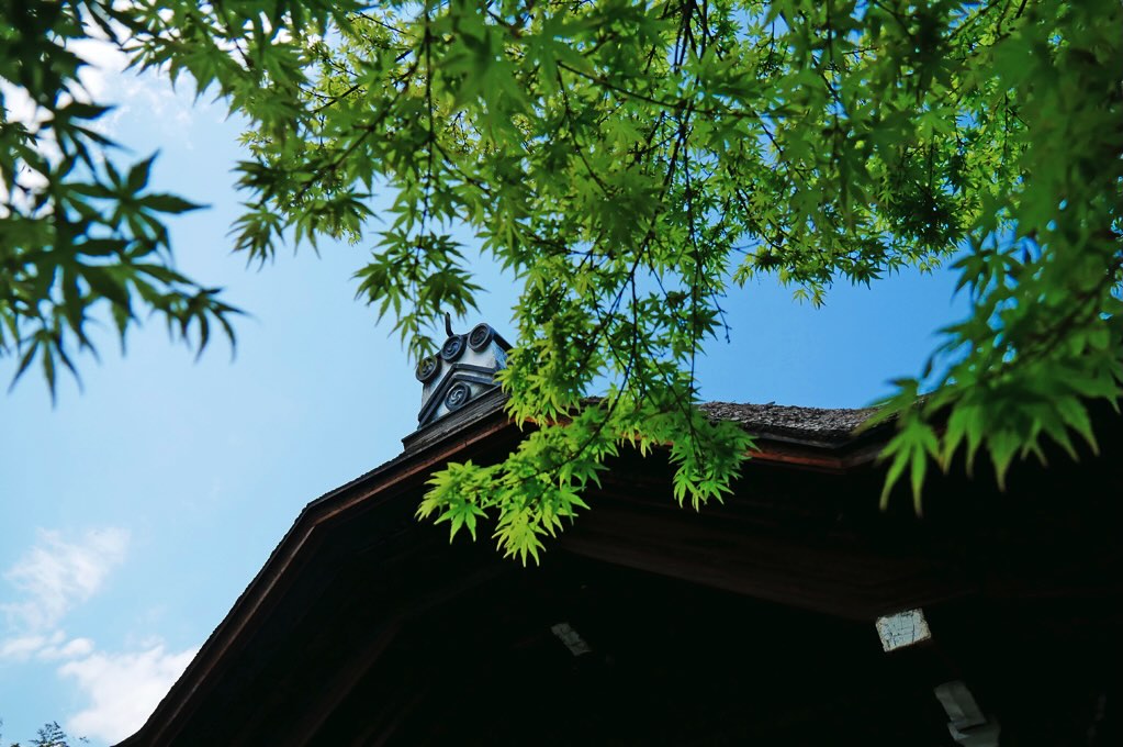 退蔵院