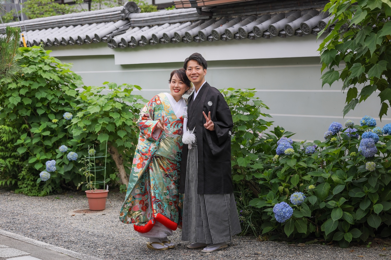 妙蓮寺様で咲き始めた紫陽花と