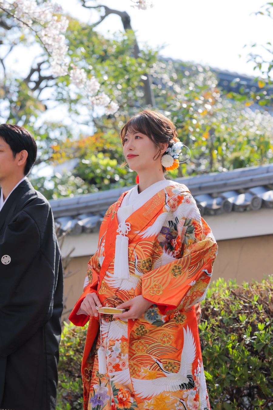 色打掛20.オレンジ−鶴