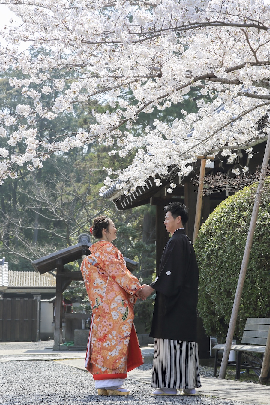 色打掛＆カラフルな髪飾り×桜の京都和装前撮り｜戒光寺レギュラープランの撮影レポート