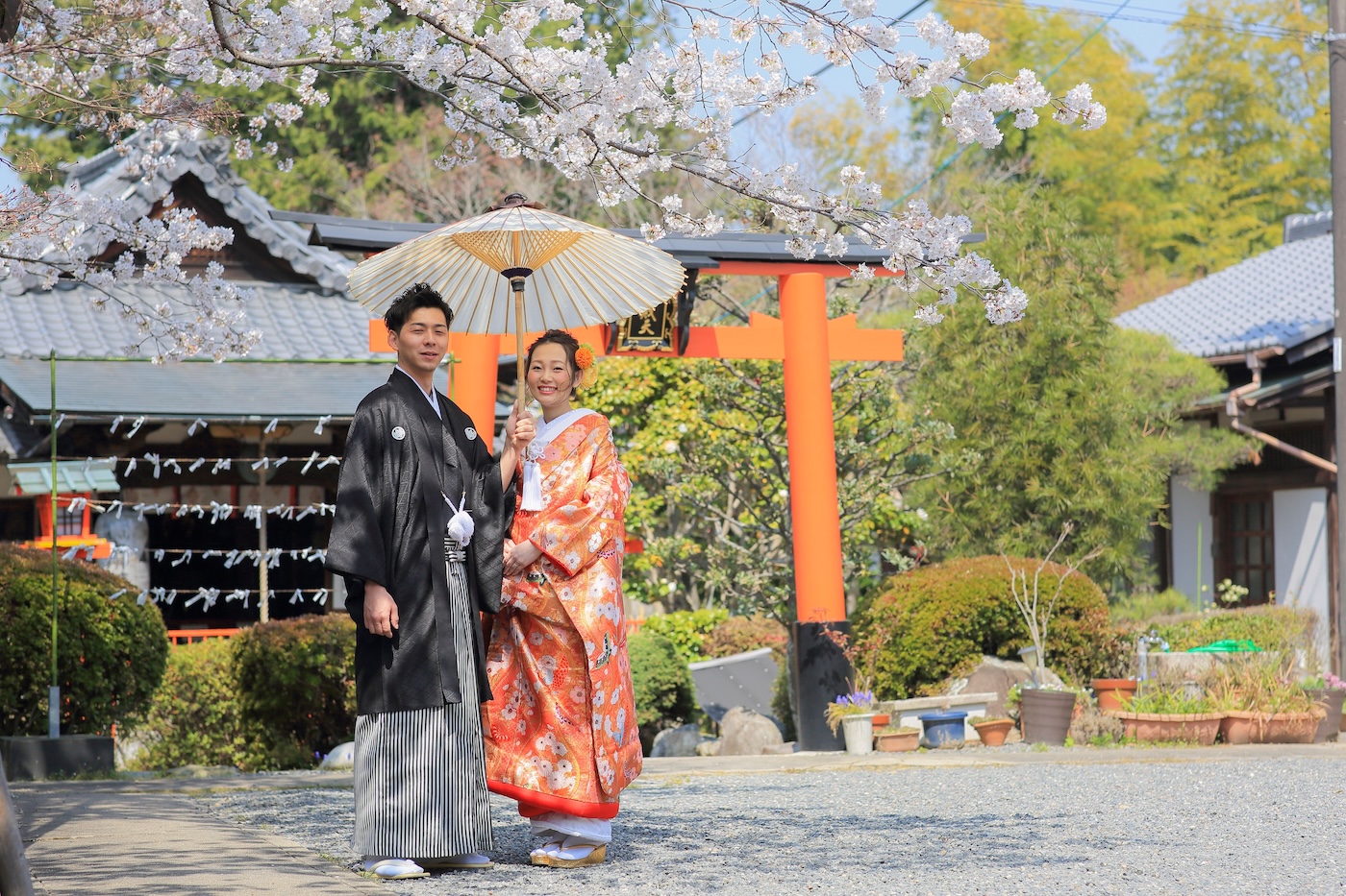 京都の桜と青空・神社の鳥居を背景にした和装前撮りフォト