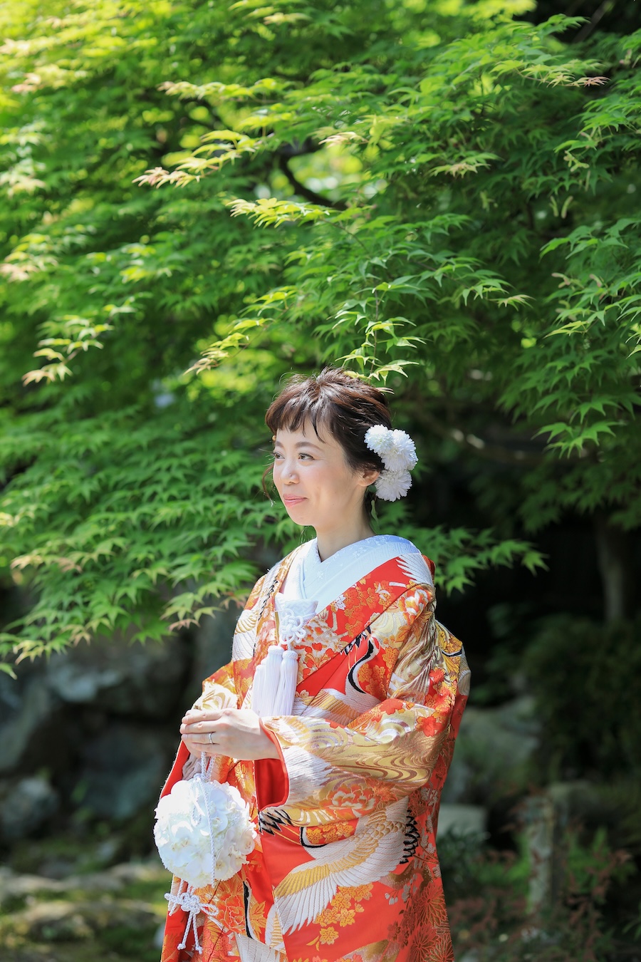 戒光寺様の貸切の庭園では新緑の青紅葉と爽やかに撮影。