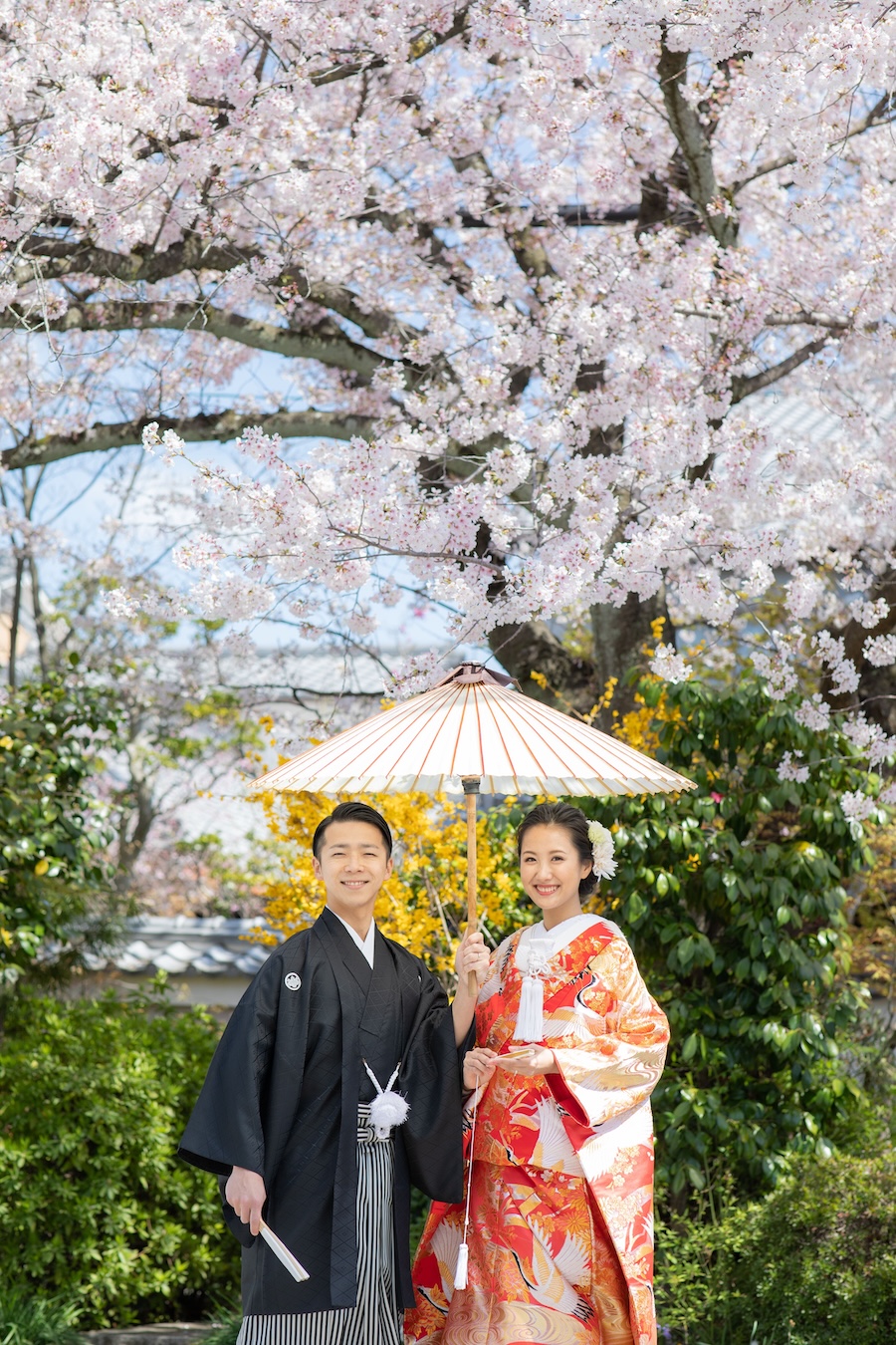 京都の桜と色打掛の和装ウェディングフォト