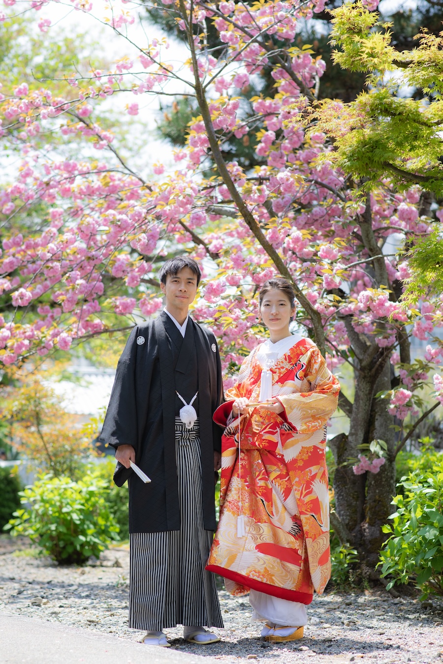 八重桜と新緑と和装後撮り