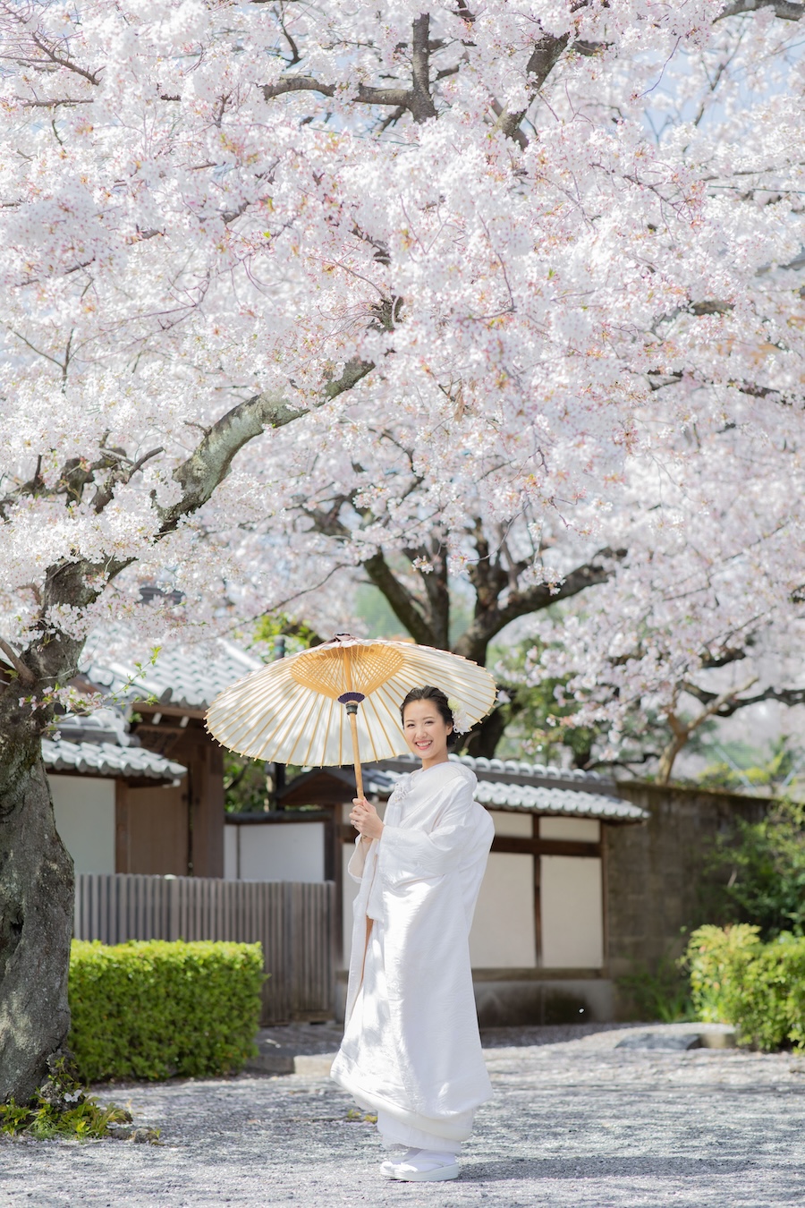 満開の京都の桜と白無垢姿で和装前撮り