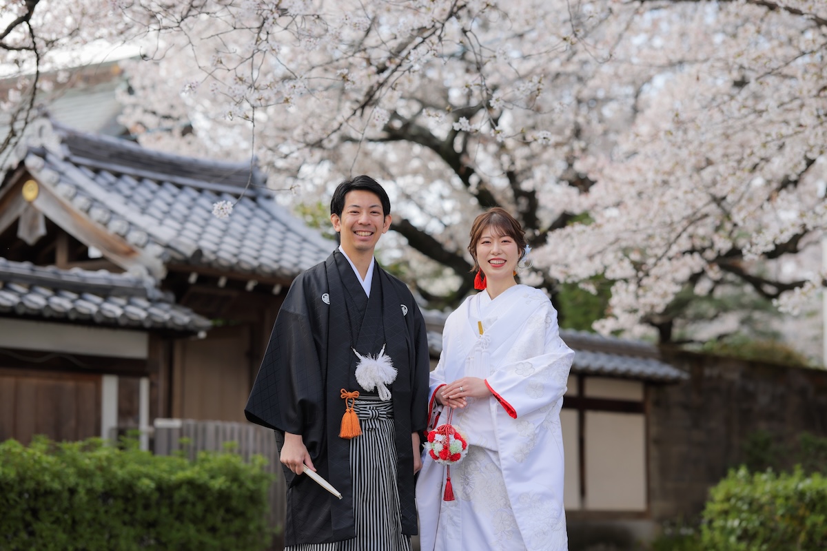 桜ロケーション×寺院撮影｜人混みを避けた贅沢な時間