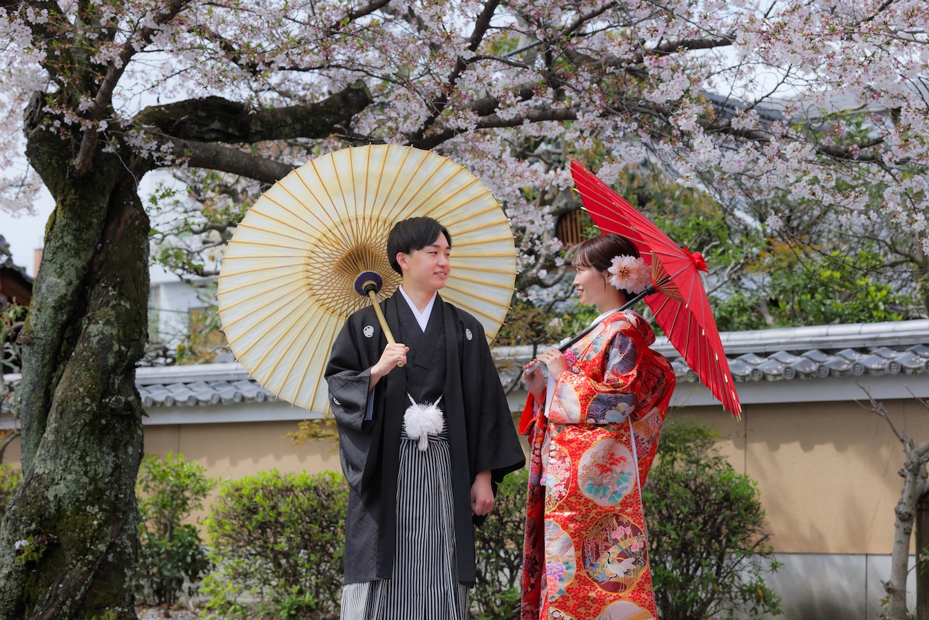 桜とお寺を背景に赤白の和傘を使用した京都前撮りフォト