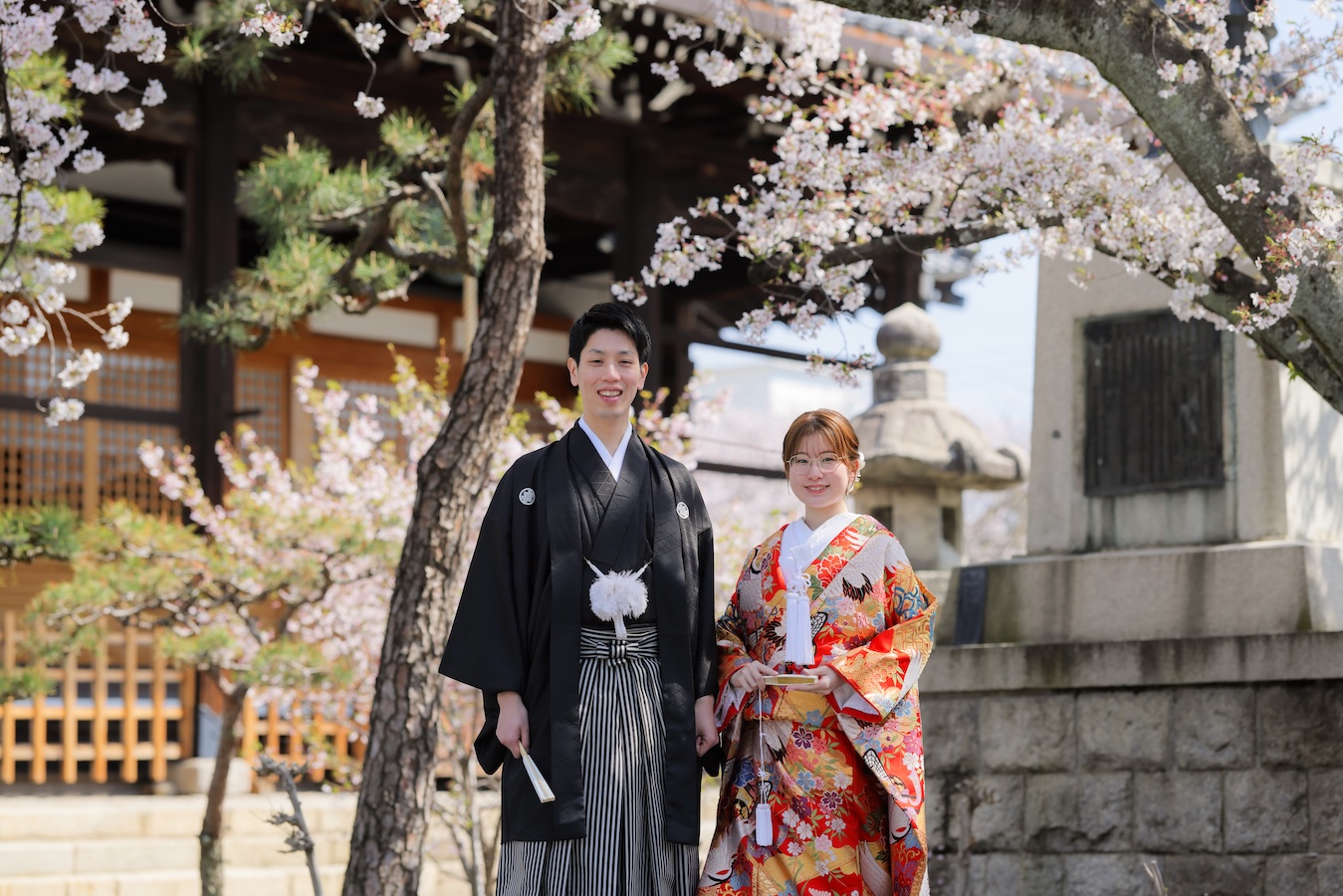 桜とお寺の本堂を背景にした和装前撮り