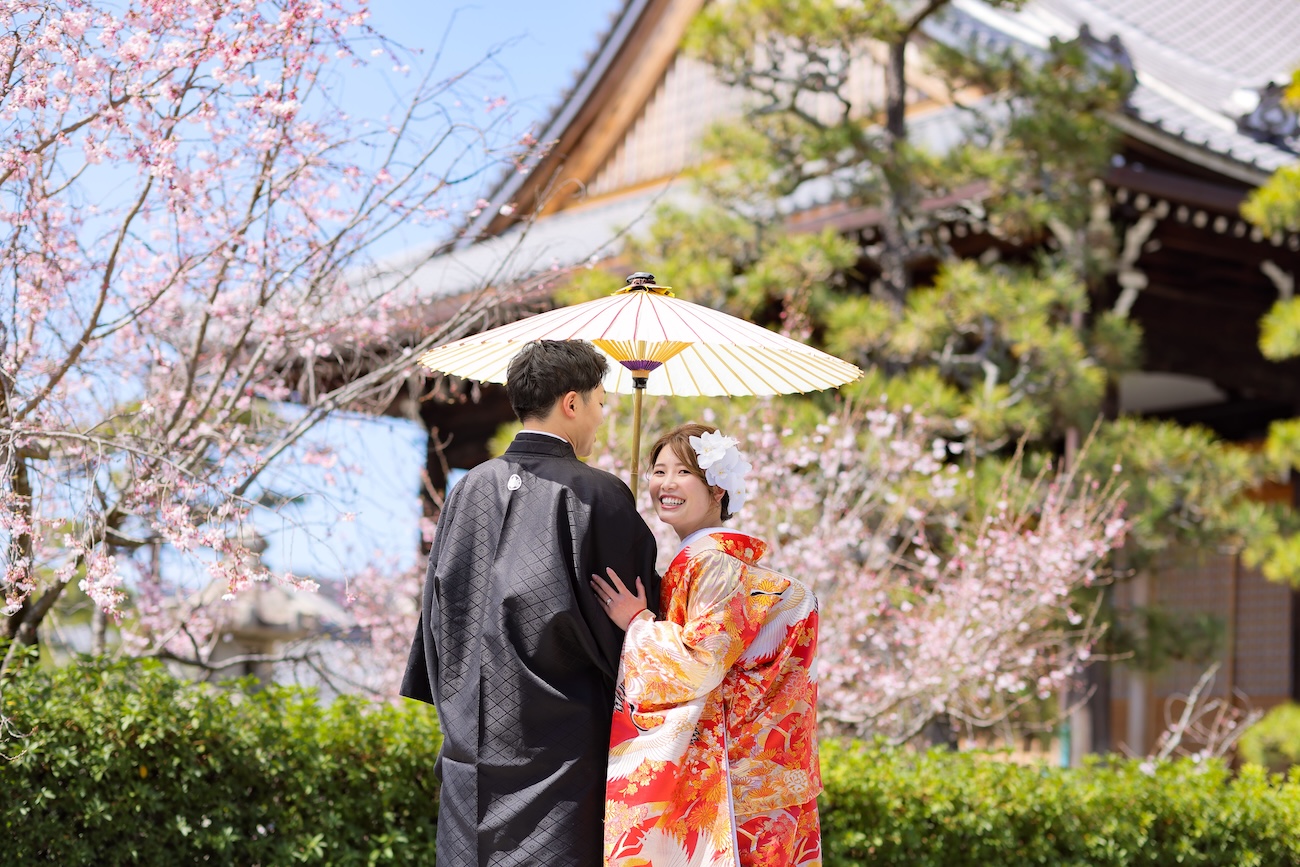 咲き始めの桜と青空に包まれた妙蓮寺での和装前撮り