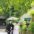 新緑との和装ウェディングフォト長楽寺