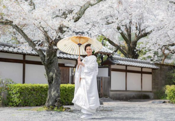 桜満開の中での白無垢のお写真