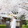 京都で前撮り おすすめの季節は?「古都の花嫁」季節別撮影ガイド