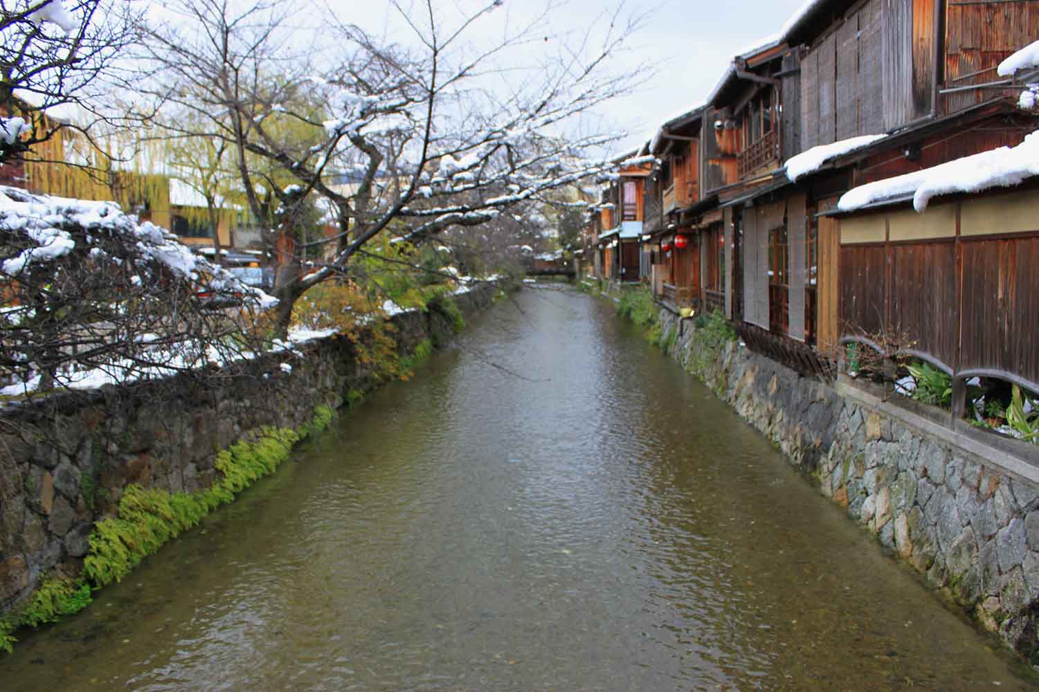 冬の京都の落葉
