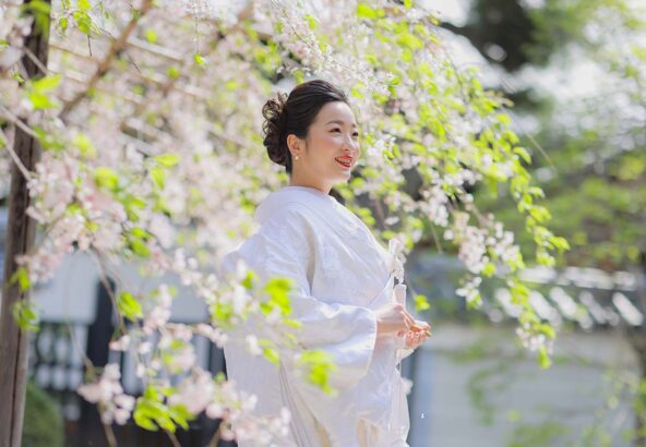 妙蓮寺枝垂れ桜の下での花嫁様