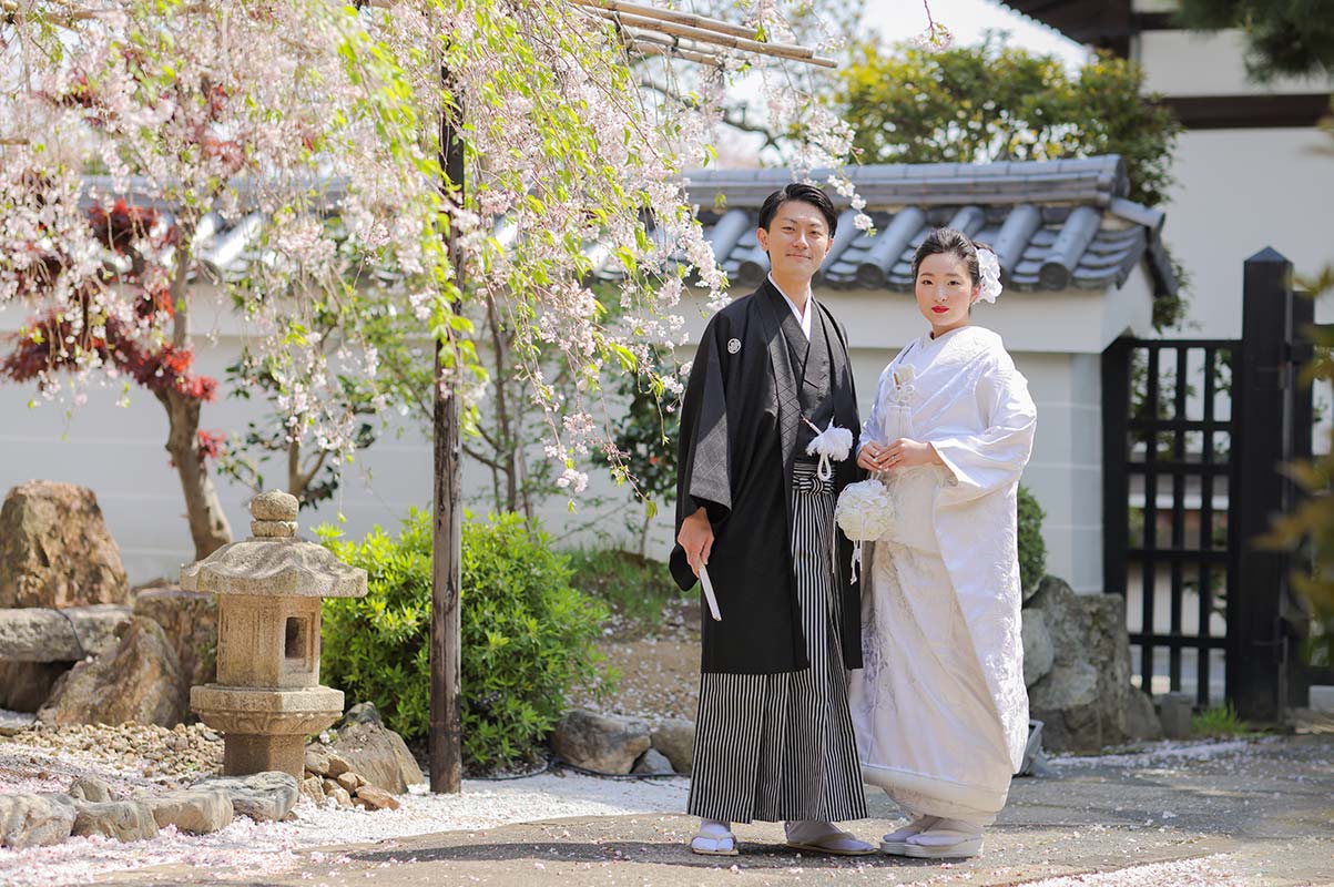 妙蓮寺枝垂れ桜での白無垢羽織袴姿の新郎新婦様