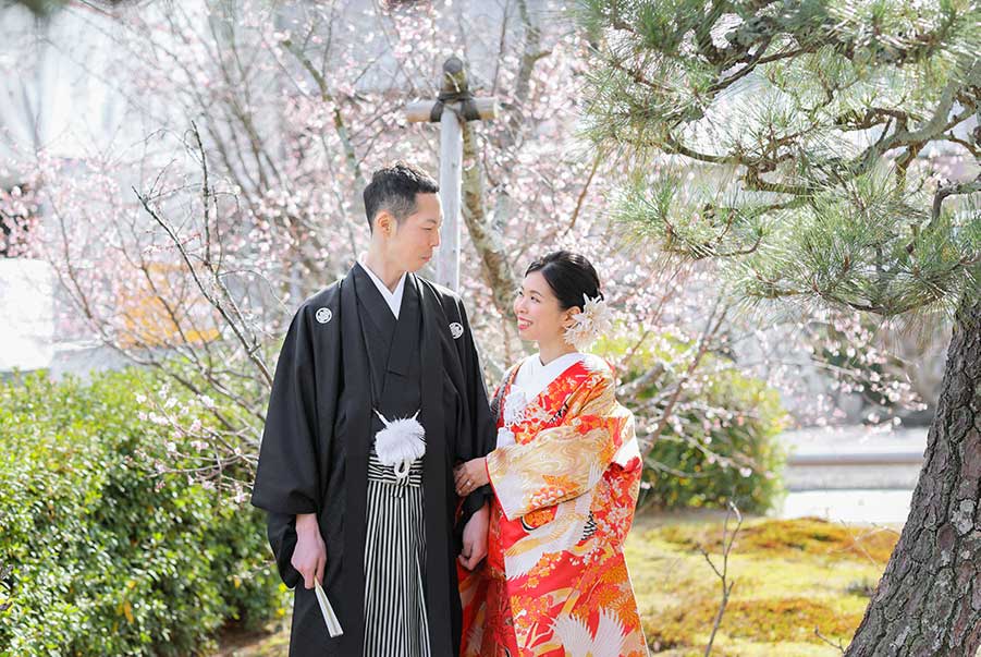 御会式桜で冬でも桜と前撮り