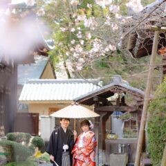 京都戒光寺の桜と和装前撮り