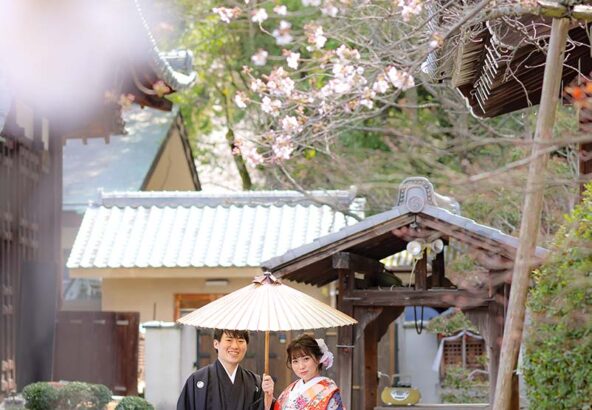 京都戒光寺の桜と和装前撮り