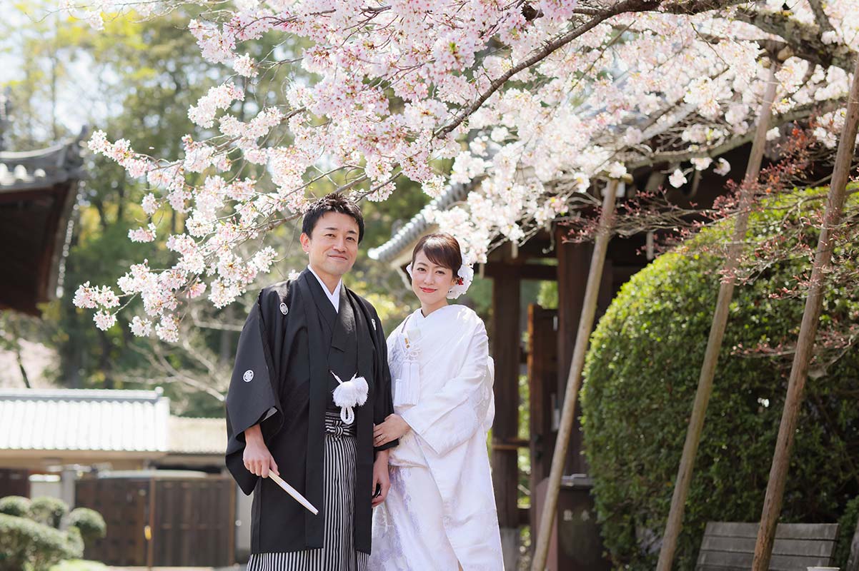 京都の桜と和装前撮りのカップル様